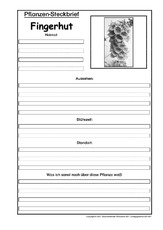 Pflanzensteckbrief-Fingerhut-SW.pdf